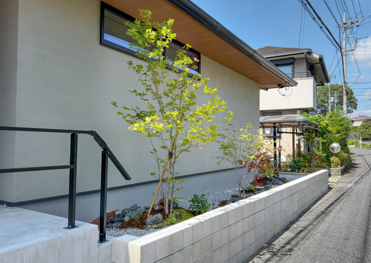 外壁に影差す植栽のシルエット